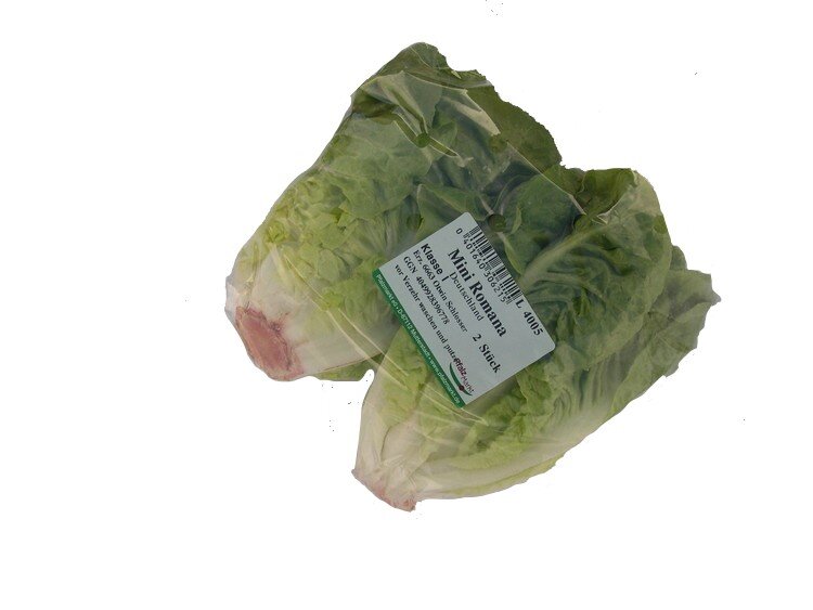 Salát Mizuna 125 g